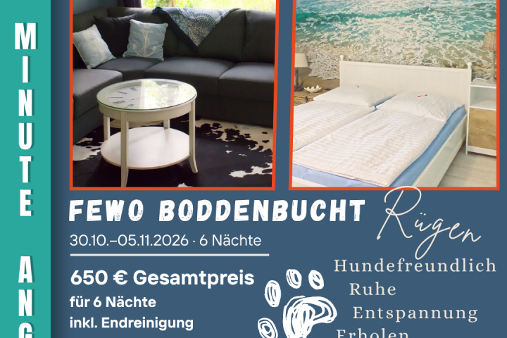 Fewo Boddenbucht 30.10.–05.11.2026 – Last-Minute-Angebot mit 2 Hunden kostenlos, eingezäunter Garten am Wieker Bodden